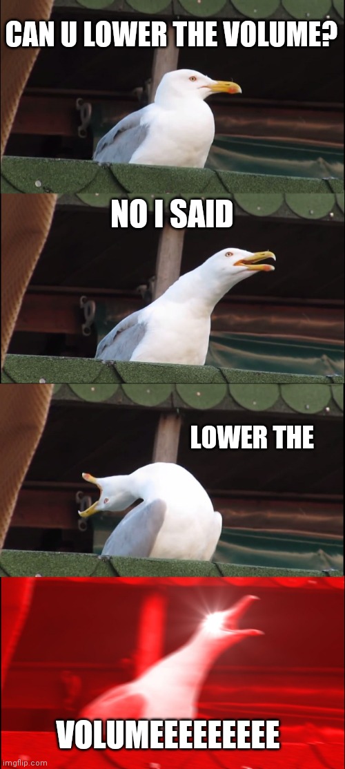 Inhaling Seagull | CAN U LOWER THE VOLUME? NO I SAID; LOWER THE; VOLUMEEEEEEEEE | image tagged in memes,inhaling seagull | made w/ Imgflip meme maker