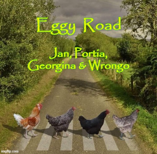 Eggy Road | Eggy  Road; Jan, Portia, Georgina & Wrongo | image tagged in bacon and eggs | made w/ Imgflip meme maker
