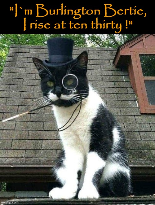 "I`m Burlington Bertie !" | "I`m Burlington Bertie,
I rise at ten thirty !" | image tagged in pretentious | made w/ Imgflip meme maker