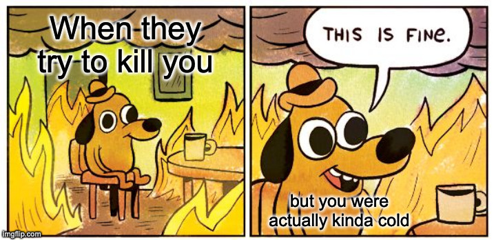 This Is Fine | When they try to kill you; but you were actually kinda cold | image tagged in memes,this is fine | made w/ Imgflip meme maker