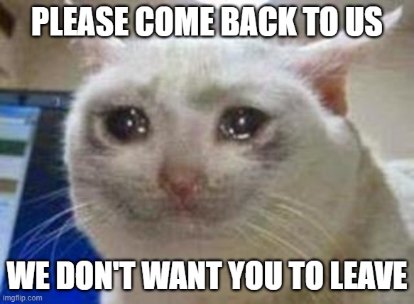 Sad cat | PLEASE COME BACK TO US WE DON'T WANT YOU TO LEAVE | image tagged in sad cat | made w/ Imgflip meme maker