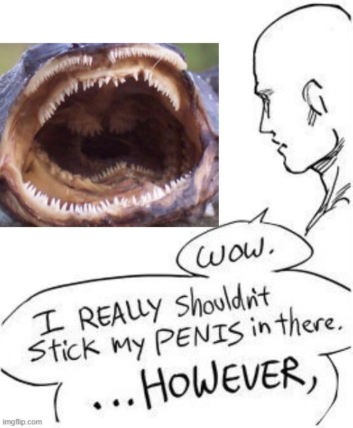 . | made w/ Imgflip meme maker