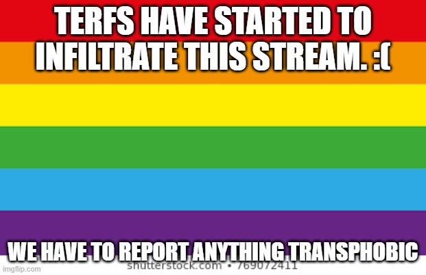 Lgbtq | TERFS HAVE STARTED TO INFILTRATE THIS STREAM. :(; WE HAVE TO REPORT ANYTHING TRANSPHOBIC | image tagged in lgbtqp | made w/ Imgflip meme maker