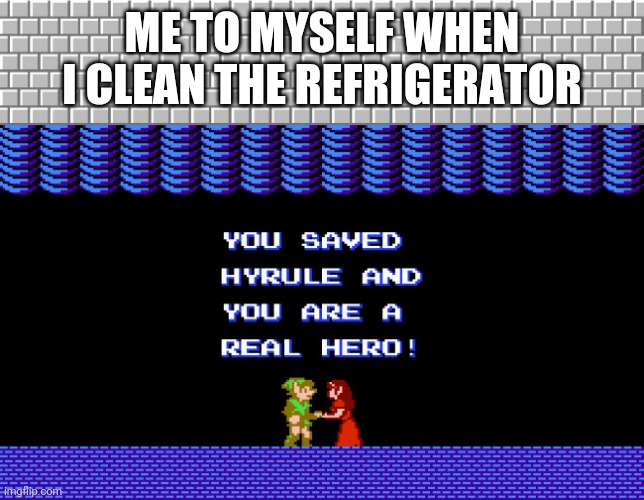 Hero | ME TO MYSELF WHEN I CLEAN THE REFRIGERATOR | image tagged in link the hero | made w/ Imgflip meme maker