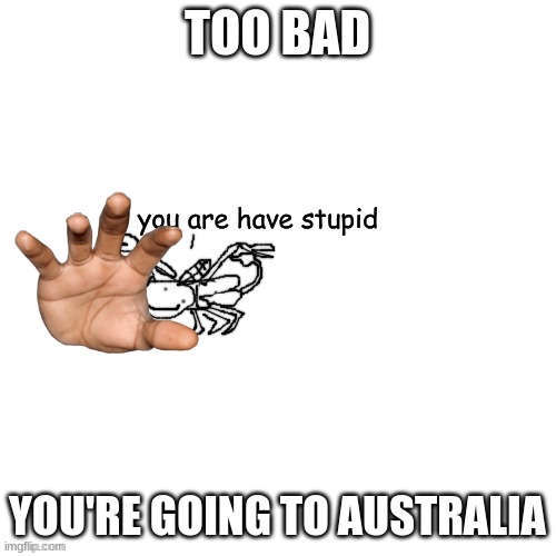 Moth Carlos "do you are have stupid" | TOO BAD YOU'RE GOING TO AUSTRALIA | image tagged in moth carlos do you are have stupid | made w/ Imgflip meme maker