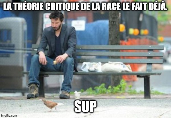 Sad Keanu Meme | LA THÉORIE CRITIQUE DE LA RACE LE FAIT DÉJÀ. SUP | image tagged in memes,sad keanu | made w/ Imgflip meme maker