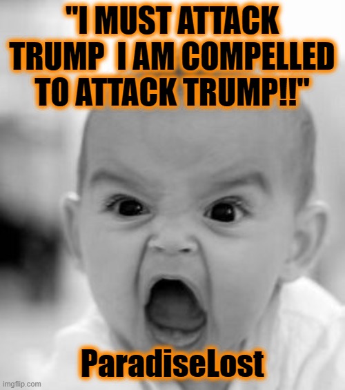 Angry Baby Meme | "I MUST ATTACK TRUMP  I AM COMPELLED TO ATTACK TRUMP!!" ParadiseLost | image tagged in memes,angry baby | made w/ Imgflip meme maker