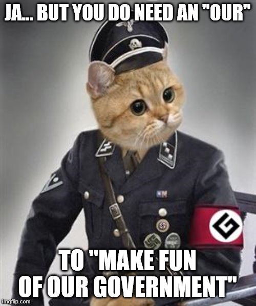 Grammar Nazi Cat | JA... BUT YOU DO NEED AN "OUR" TO "MAKE FUN OF OUR GOVERNMENT" | image tagged in grammar nazi cat | made w/ Imgflip meme maker