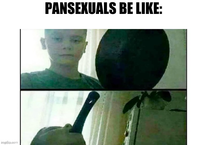 No offense to the community. Also happy pride month | PANSEXUALS BE LIKE: | image tagged in memes,lol,pride month | made w/ Imgflip meme maker
