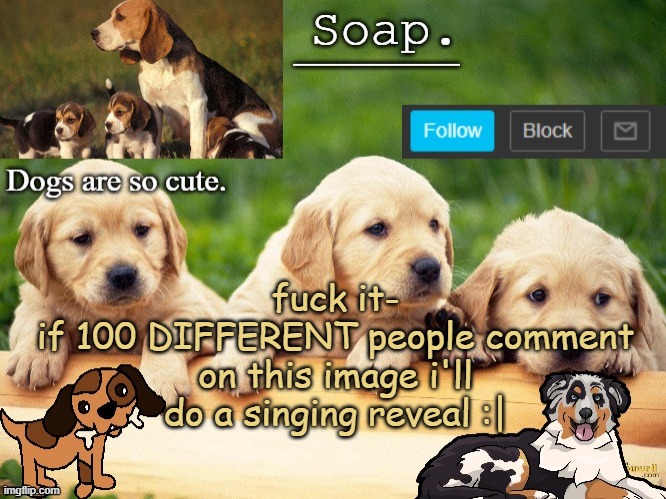 Soap doggo temp | fuck it-
if 100 DIFFERENT people comment on this image i'll do a singing reveal :| | image tagged in soap doggo temp ty yachi | made w/ Imgflip meme maker