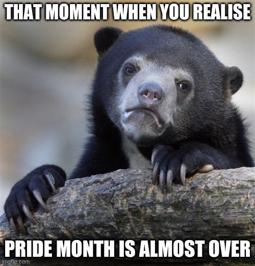 :( | THAT MOMENT WHEN YOU REALISE; PRIDE MONTH IS ALMOST OVER | image tagged in memes,confession bear | made w/ Imgflip meme maker