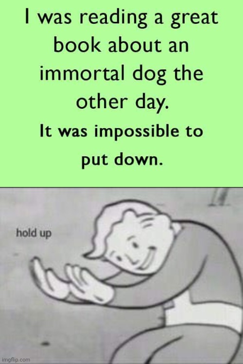Whyy | image tagged in fallout hold up,dark humor,dogs,funny,jokes | made w/ Imgflip meme maker