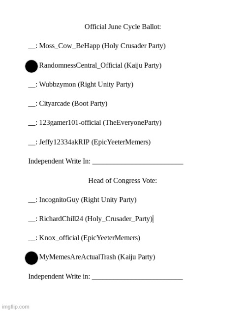 June Election Ballot | image tagged in june election ballot | made w/ Imgflip meme maker
