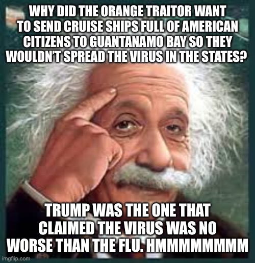 AA A eistien einstien | WHY DID THE ORANGE TRAITOR WANT TO SEND CRUISE SHIPS FULL OF AMERICAN CITIZENS TO GUANTANAMO BAY SO THEY WOULDN’T SPREAD THE VIRUS IN THE STATES? TRUMP WAS THE ONE THAT CLAIMED THE VIRUS WAS NO WORSE THAN THE FLU. HMMMMMMMM | image tagged in aa a eistien einstien | made w/ Imgflip meme maker