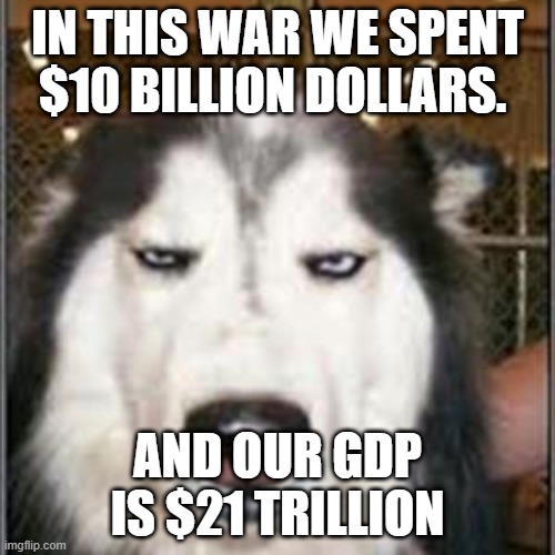 original pissed off husky | IN THIS WAR WE SPENT $10 BILLION DOLLARS. AND OUR GDP IS $21 TRILLION | image tagged in original pissed off husky | made w/ Imgflip meme maker