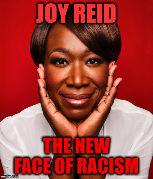 Joy Reid | JOY REID THE NEW FACE OF RACISM | image tagged in joy reid | made w/ Imgflip meme maker