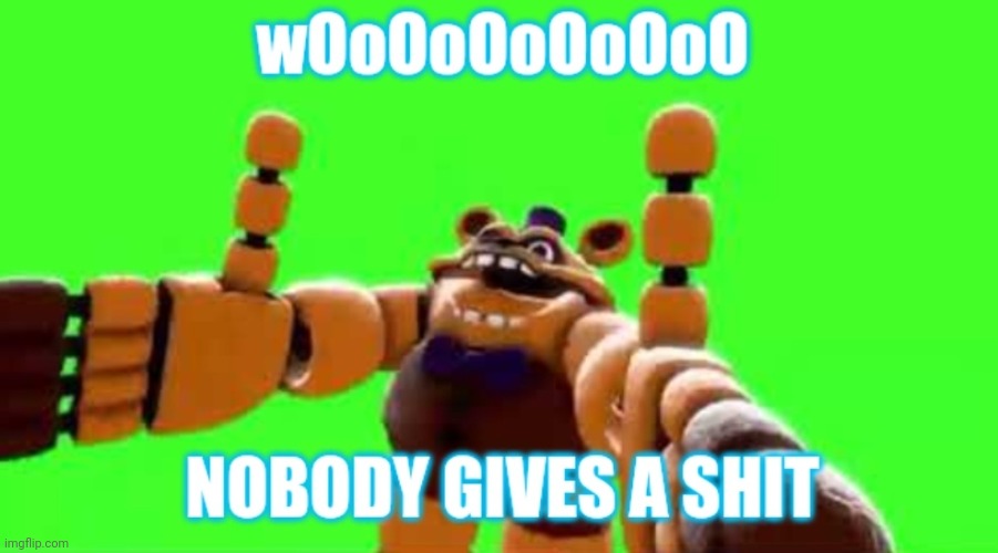 Woo Nobody Gives A SHIT | image tagged in woo nobody gives a shit | made w/ Imgflip meme maker