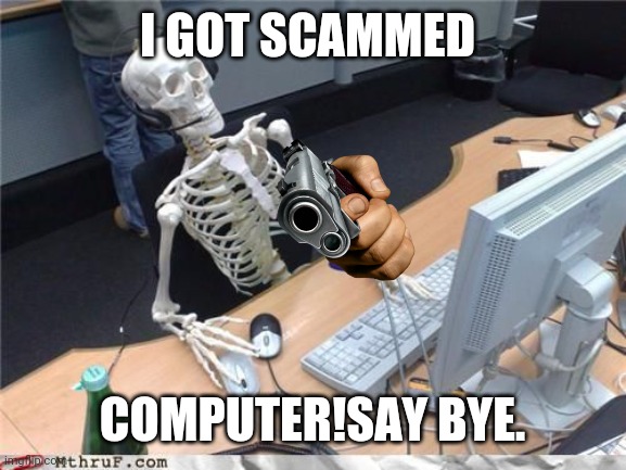 The Skeleton Scammed | I GOT SCAMMED; COMPUTER!SAY BYE. | image tagged in skeleton computer,skeleton | made w/ Imgflip meme maker