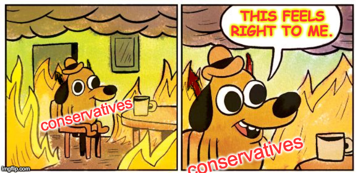 This Is Fine Meme | conservatives conservatives THIS FEELS RIGHT TO ME. | image tagged in memes,this is fine | made w/ Imgflip meme maker
