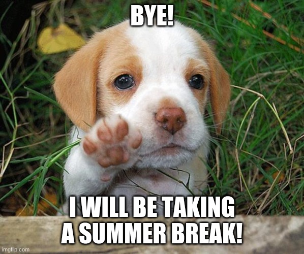 BYE! | BYE! I WILL BE TAKING A SUMMER BREAK! | image tagged in dog puppy bye | made w/ Imgflip meme maker