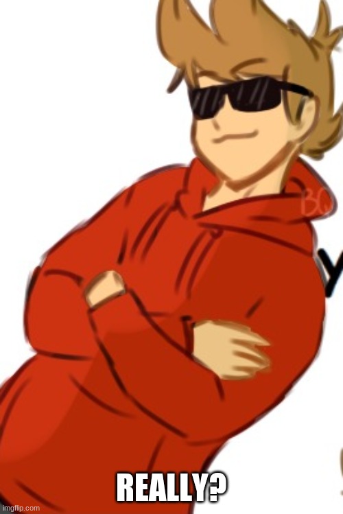 Tord | REALLY? | image tagged in tord | made w/ Imgflip meme maker