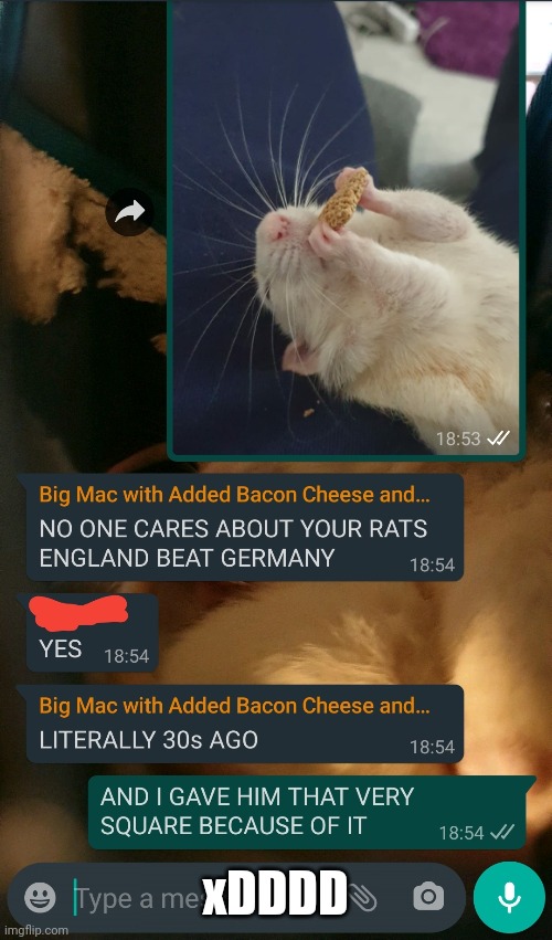 xDDDD | made w/ Imgflip meme maker