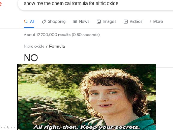 Yes, I know it's the formula. I'm not an idiot. | image tagged in chemical,nitric,oxide,funny,memes | made w/ Imgflip meme maker