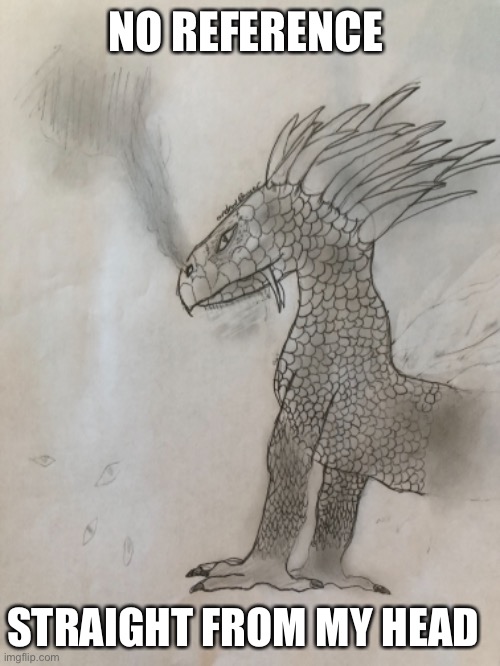 Dragón drawing | NO REFERENCE; STRAIGHT FROM MY HEAD | image tagged in dragon,art | made w/ Imgflip meme maker