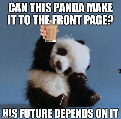 If this panda makes it to the front page, he lives | CAN THIS PANDA MAKE IT TO THE FRONT PAGE? HIS FUTURE DEPENDS ON IT | image tagged in panda,e hon die,memes | made w/ Imgflip meme maker