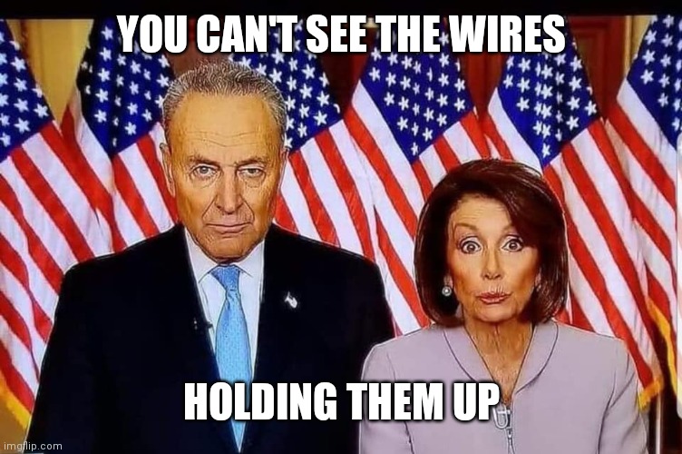 Chuck and Nancy | YOU CAN'T SEE THE WIRES HOLDING THEM UP | image tagged in chuck and nancy | made w/ Imgflip meme maker