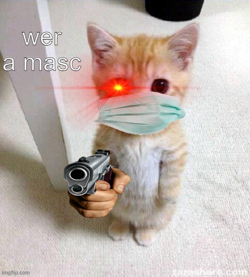 wer masc | wer a masc | image tagged in memes,cute cat | made w/ Imgflip meme maker