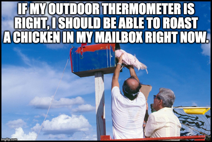 Chicken Mailbox | IF MY OUTDOOR THERMOMETER IS RIGHT, I SHOULD BE ABLE TO ROAST A CHICKEN IN MY MAILBOX RIGHT NOW. | image tagged in chicken | made w/ Imgflip meme maker