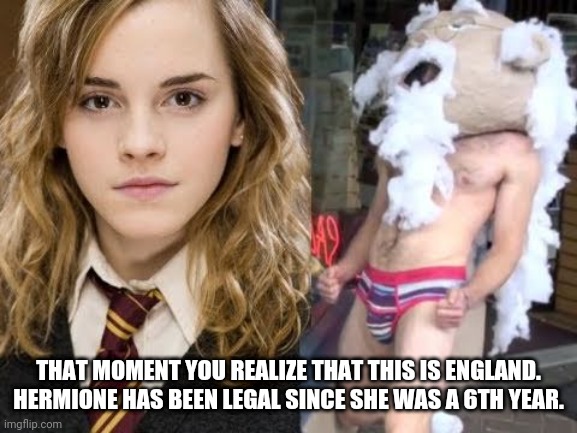 Hot for Hermione | THAT MOMENT YOU REALIZE THAT THIS IS ENGLAND. HERMIONE HAS BEEN LEGAL SINCE SHE WAS A 6TH YEAR. | image tagged in hot for hermione | made w/ Imgflip meme maker