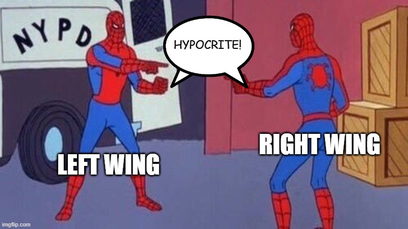 spiderman pointing at spiderman | LEFT WING RIGHT WING HYPOCRITE! | image tagged in spiderman pointing at spiderman | made w/ Imgflip meme maker