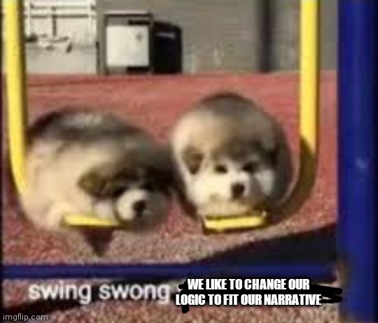 swing swong | WE LIKE TO CHANGE OUR LOGIC TO FIT OUR NARRATIVE | image tagged in swing swong | made w/ Imgflip meme maker
