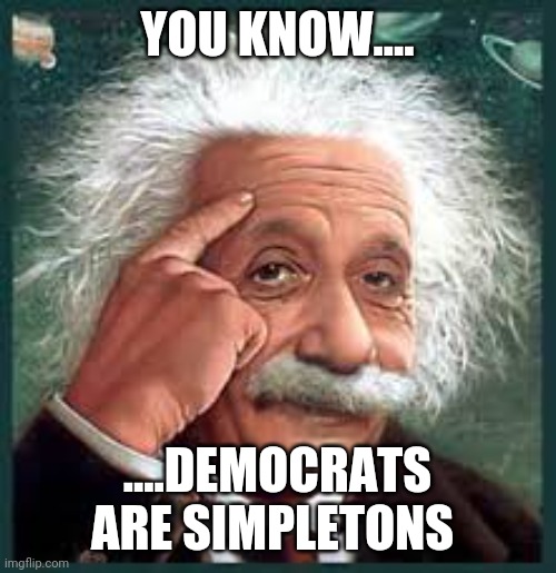 AA A eistien einstien | YOU KNOW.... ....DEMOCRATS ARE SIMPLETONS | image tagged in aa a eistien einstien | made w/ Imgflip meme maker