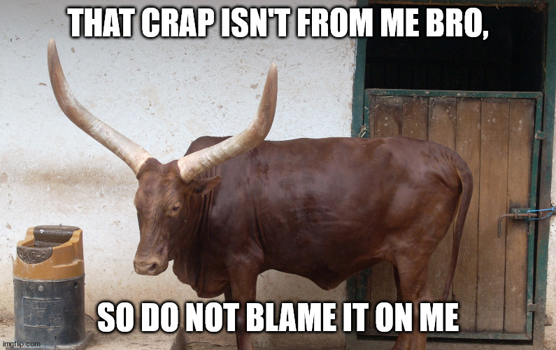 Bat'le of the lit'le big horn | THAT CRAP ISN'T FROM ME BRO, SO DO NOT BLAME IT ON ME | image tagged in bat'le of the lit'le big horn | made w/ Imgflip meme maker