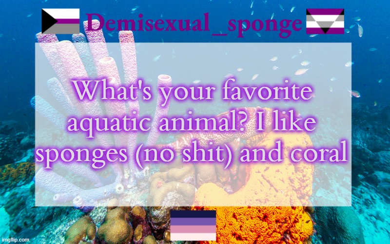 I really like tardigrades too |  What's your favorite aquatic animal? I like sponges (no shit) and coral | image tagged in demisexual_sponge's template 3,demisexual_sponge | made w/ Imgflip meme maker