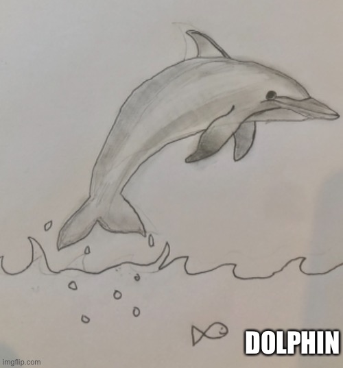 Dolphin drawing | DOLPHIN | image tagged in art,dolphin | made w/ Imgflip meme maker