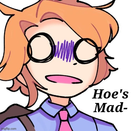 Hoe's Mad | image tagged in hoe's mad | made w/ Imgflip meme maker