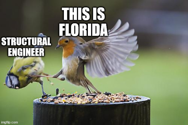 Florida HOA | THIS IS
FLORIDA; STRUCTURAL ENGINEER | image tagged in bird sparta | made w/ Imgflip meme maker