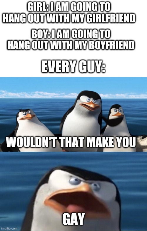 Every guy would think this | GIRL: I AM GOING TO HANG OUT WITH MY GIRLFRIEND; BOY: I AM GOING TO HANG OUT WITH MY BOYFRIEND; EVERY GUY:; WOULDN'T THAT MAKE YOU; GAY | image tagged in wouldn't that make you | made w/ Imgflip meme maker
