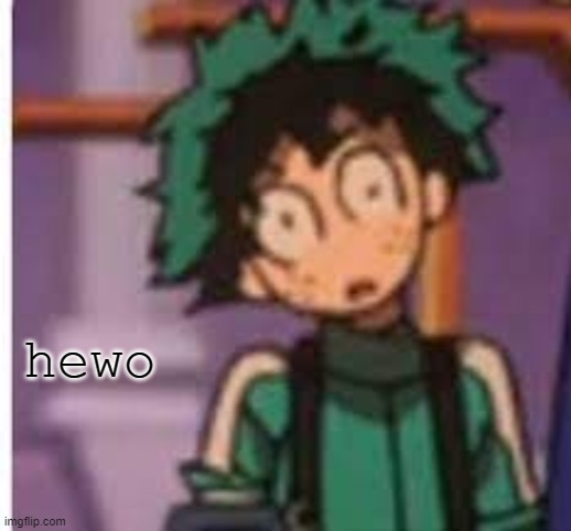 Bitch wot | hewo | image tagged in bitch wot | made w/ Imgflip meme maker