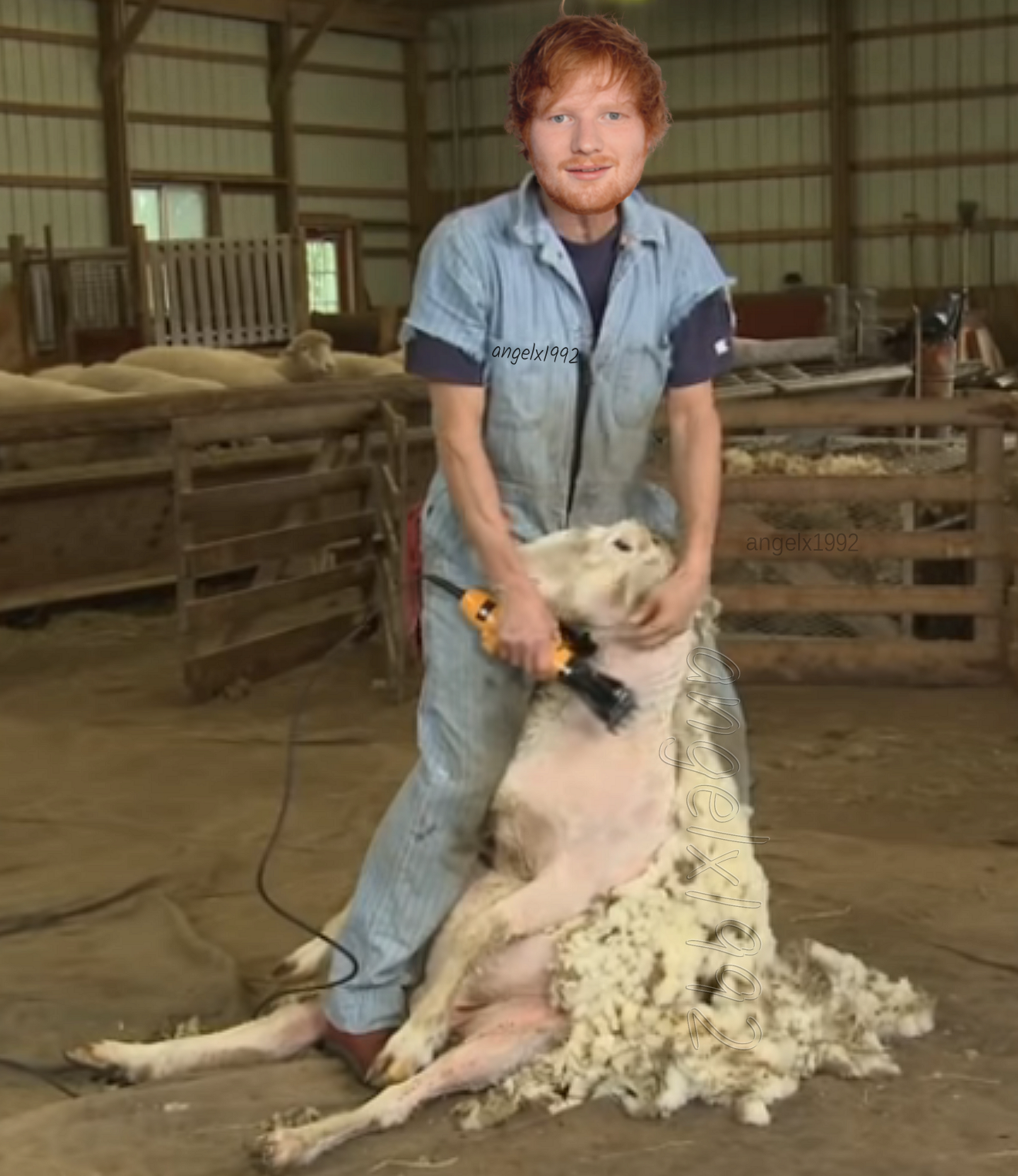 ed shearing Blank Meme Template