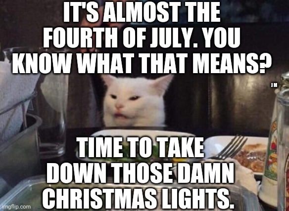 Salad cat | IT'S ALMOST THE FOURTH OF JULY. YOU KNOW WHAT THAT MEANS? TIME TO TAKE DOWN THOSE DAMN CHRISTMAS LIGHTS. J M | image tagged in salad cat | made w/ Imgflip meme maker