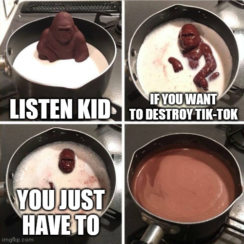 chocolate gorilla | LISTEN KID; IF YOU WANT TO DESTROY TIK-TOK; YOU JUST HAVE TO | image tagged in chocolate gorilla | made w/ Imgflip meme maker