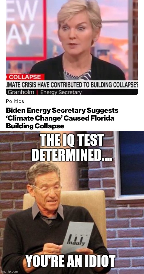 THE IQ TEST DETERMINED.... YOU'RE AN IDIOT | image tagged in memes,maury lie detector | made w/ Imgflip meme maker