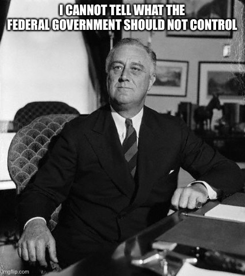 FdR | I CANNOT TELL WHAT THE FEDERAL GOVERNMENT SHOULD NOT CONTROL | image tagged in fdr | made w/ Imgflip meme maker