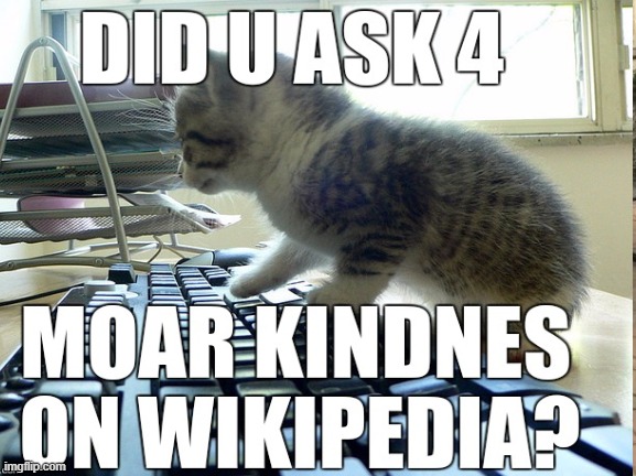 Lolcats | image tagged in lolcats | made w/ Imgflip meme maker