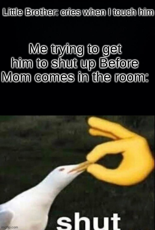 Little Brother: cries when I touch him; Me trying to get him to shut up Before Mom comes in the room: | image tagged in shut,dark mode,brother,relatable,oh no,oh wow are you actually reading these tags | made w/ Imgflip meme maker